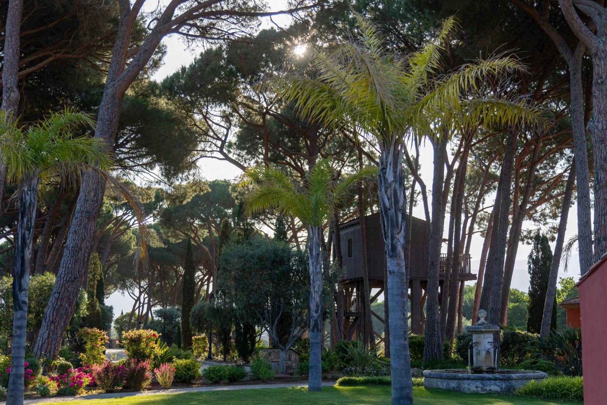 La Signoria Hotel Calvi  Exterior foto